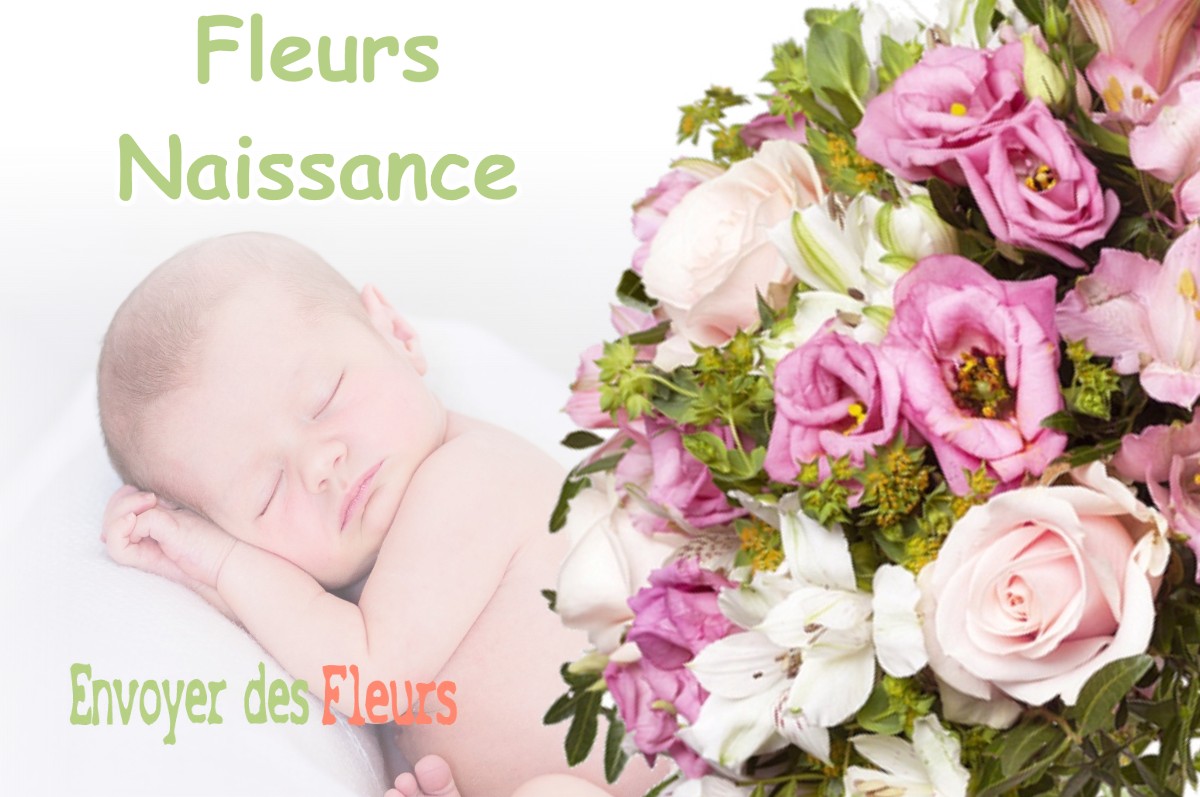 lIVRAISON FLEURS NAISSANCE à CAUSSOLS